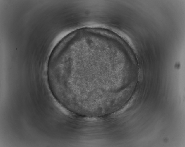 X0000101441231200808041207