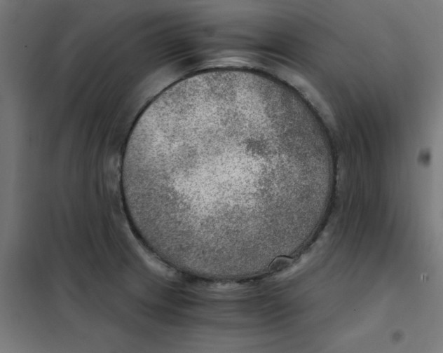 X0000101441233200808041207