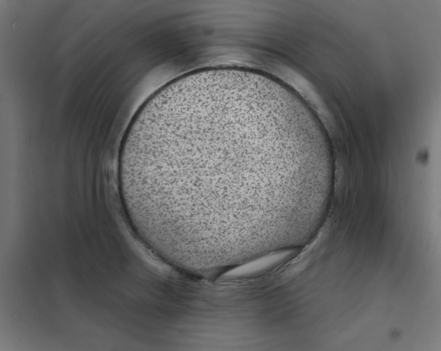 X0000101441234200808041207