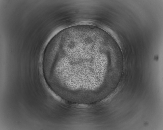 X0000101441235200808041207