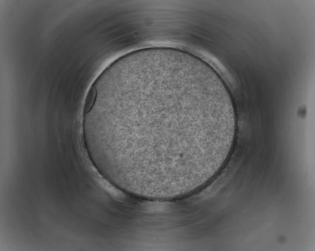 X0000101441236200808041207