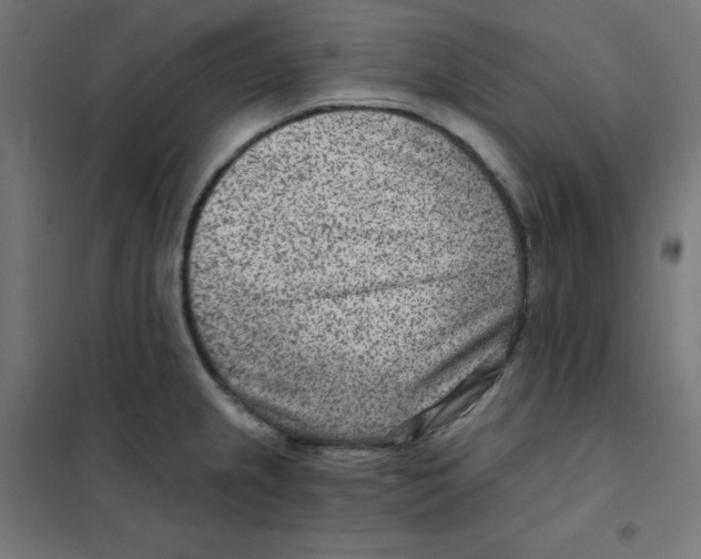 X0000101441237200808041207