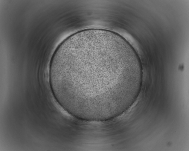 X0000101441238200808041207