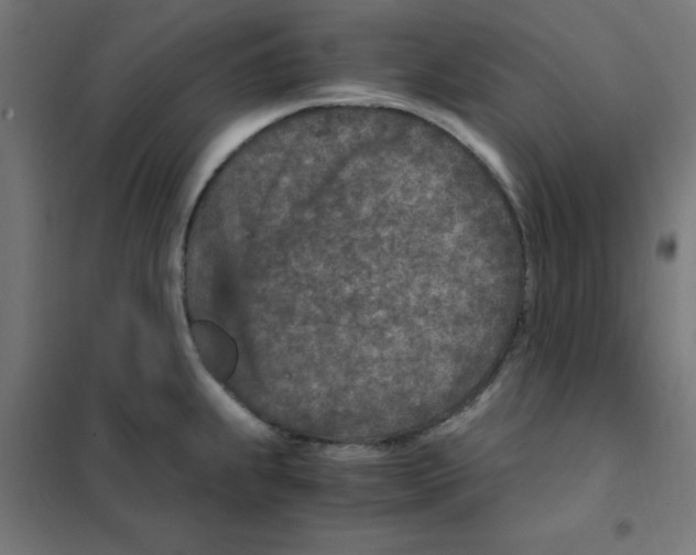 X0000101441239200808041207