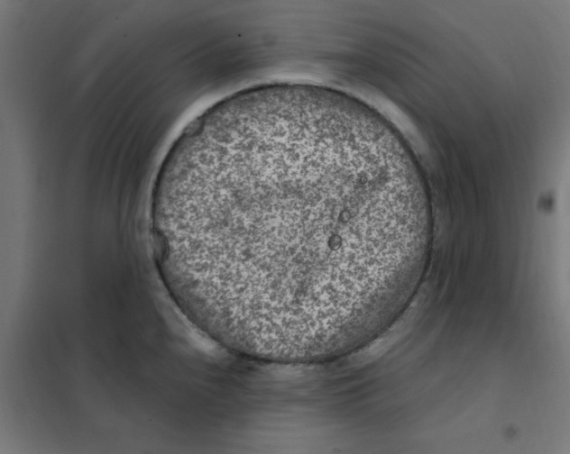X0000101441240200808041207