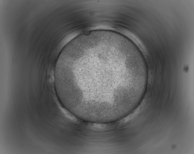 X0000101441241200808041207