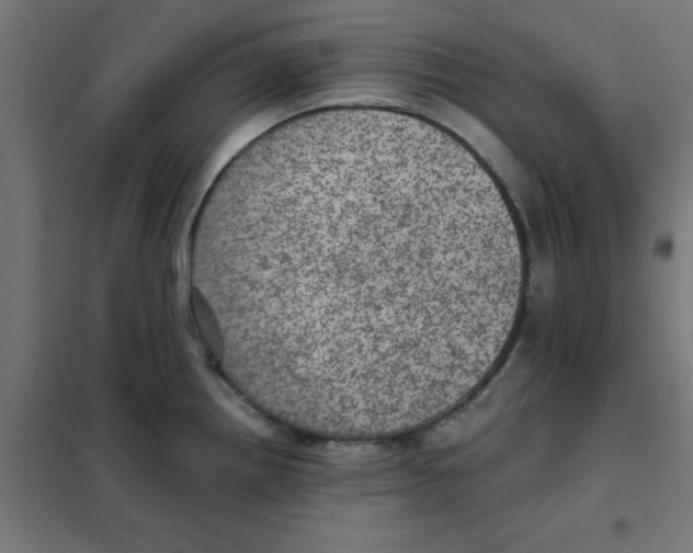 X0000101441242200808041207