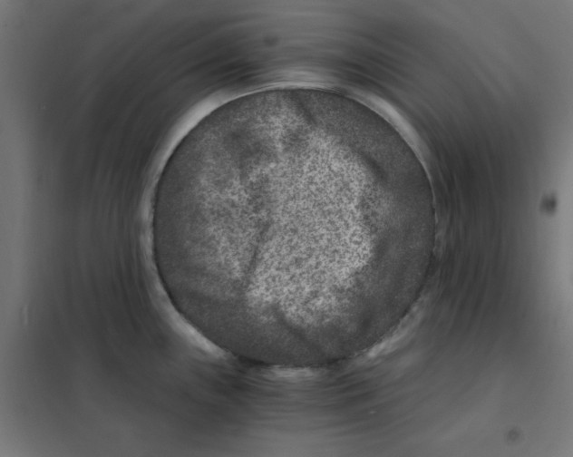 X0000101441243200808041207