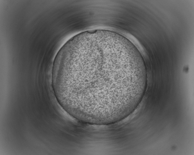 X0000101441244200808041207
