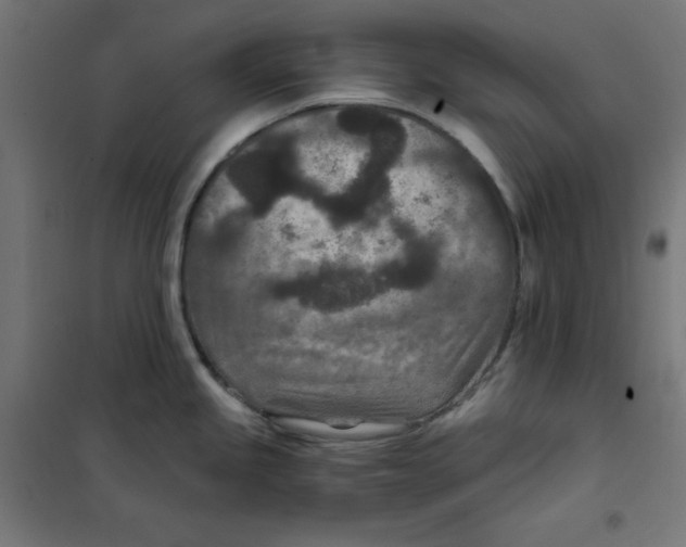X0000101441245200808041207