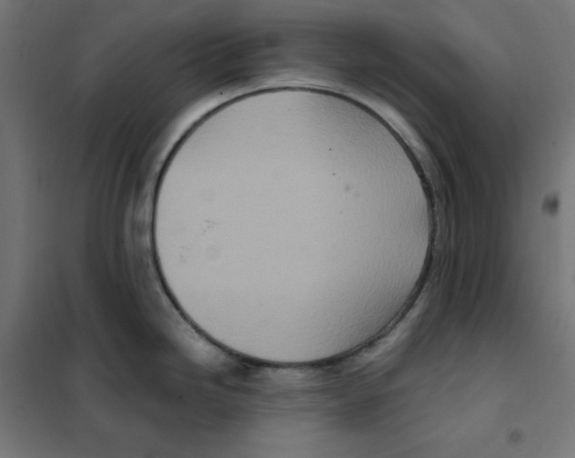 X0000101441246200808041207