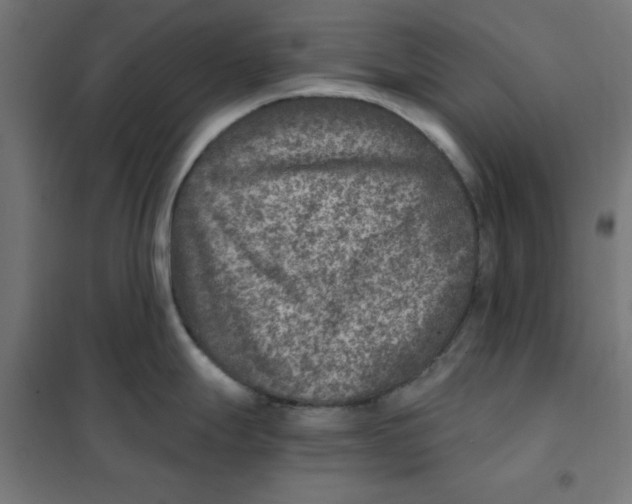 X0000101441247200808041207