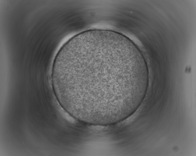 X0000101441248200808041207