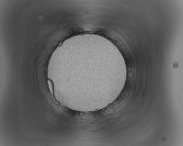 X0000101441249200808041206