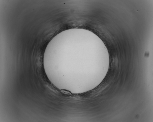 X0000101441250200808041206