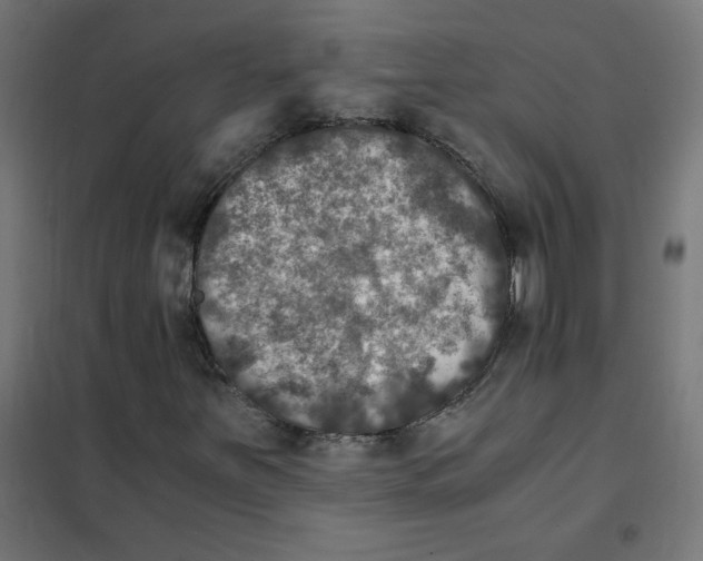 X0000101441251200808041206