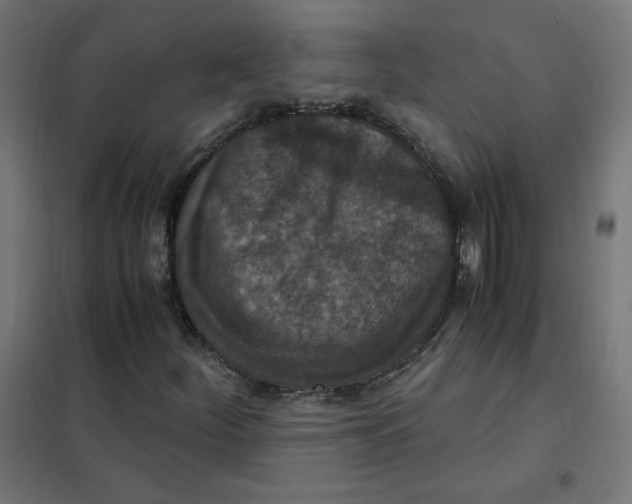 X0000101441252200808041206