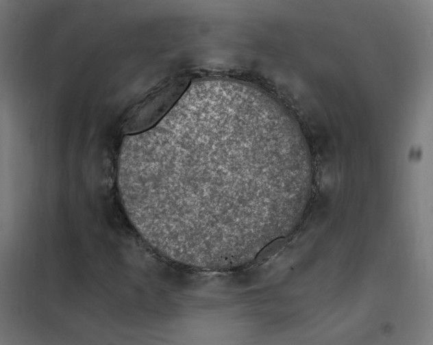 X0000101441253200808041206