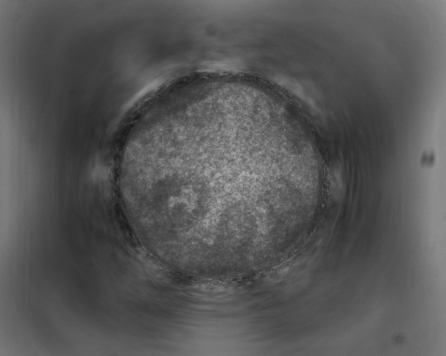 X0000101441254200808041206