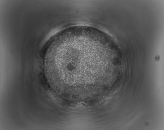 X0000101441255200808041206