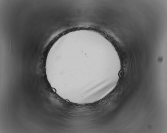 X0000101441256200808041206