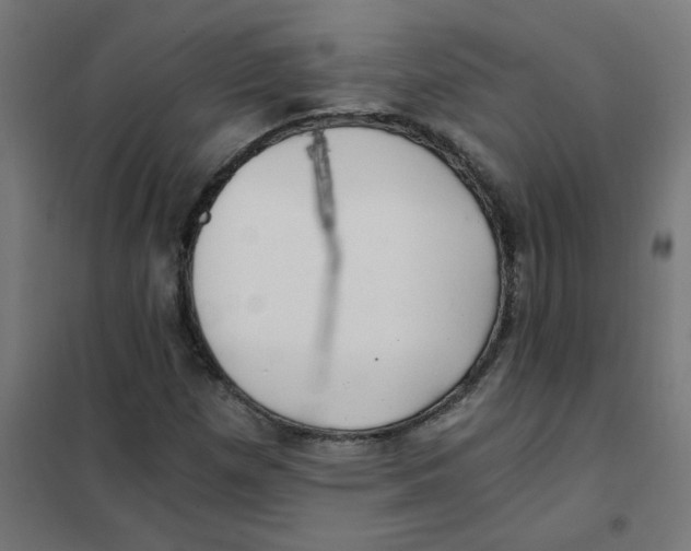 X0000101441257200808041206