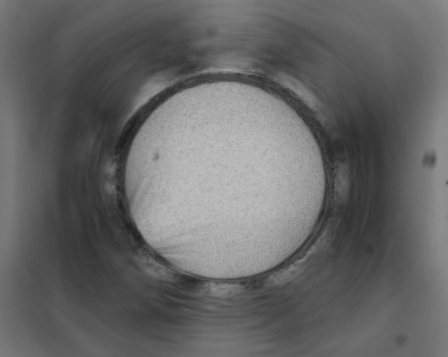 X0000101441258200808041206