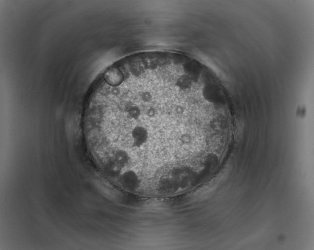 X0000101441259200808041206
