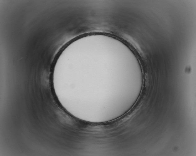 X0000101441260200808041206