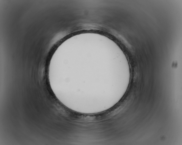 X0000101441261200808041206