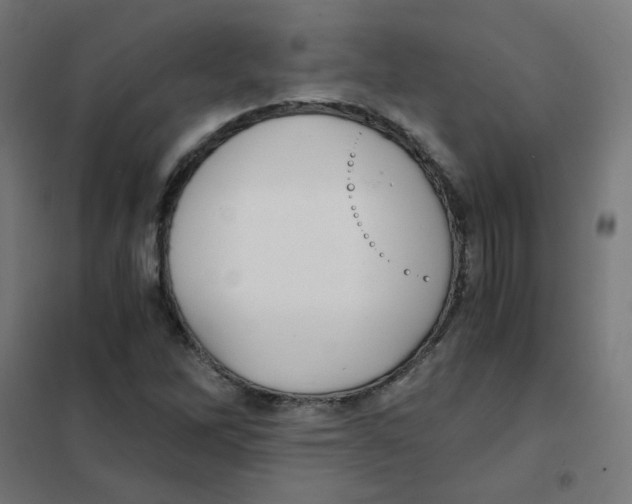 X0000101441262200808041206