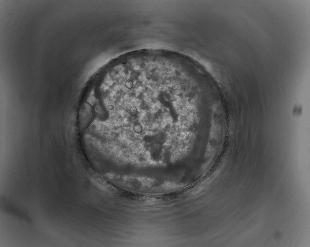 X0000101441263200808041206