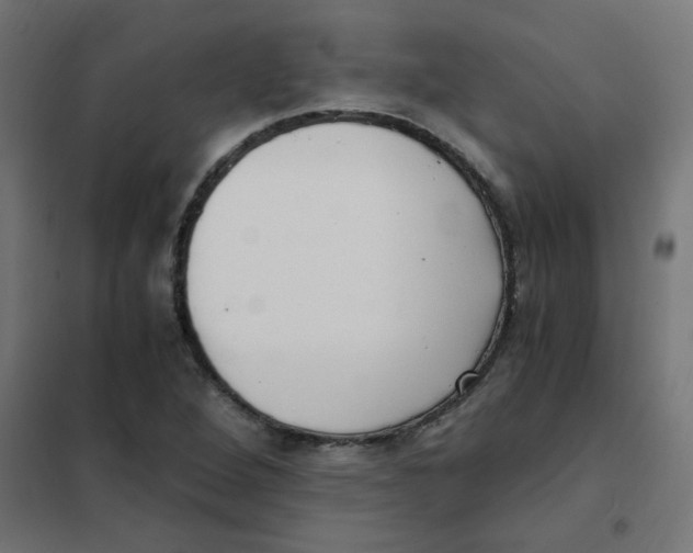 X0000101441264200808041206
