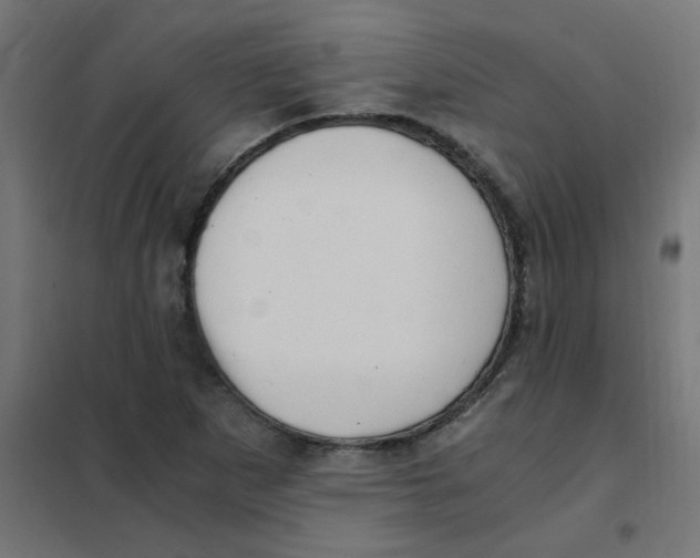 X0000101441265200808041206