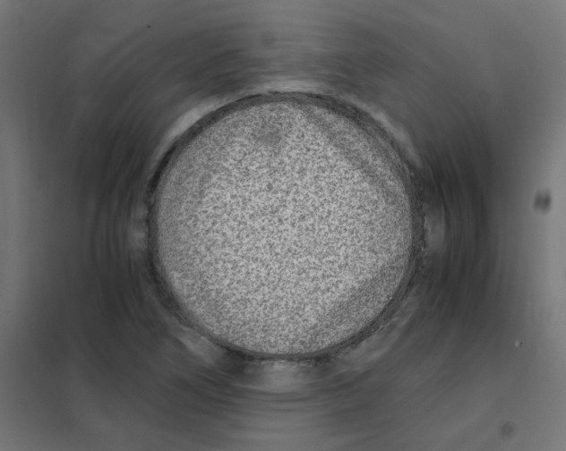 X0000101441266200808041206