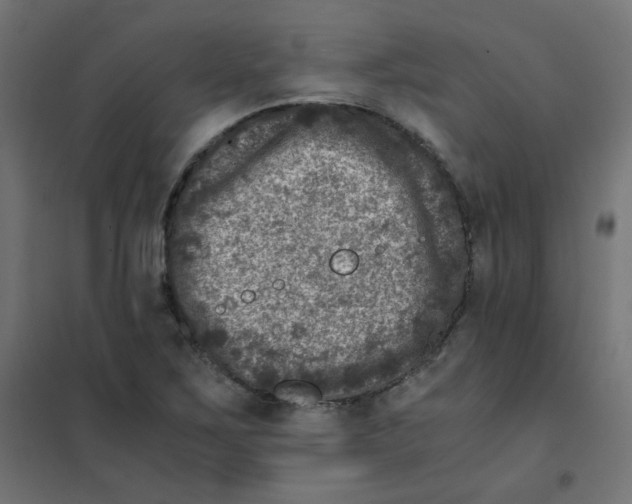 X0000101441267200808041206