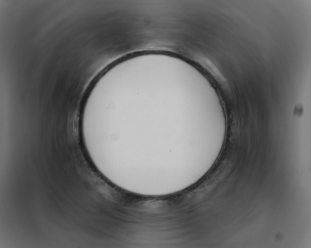 X0000101441268200808041206