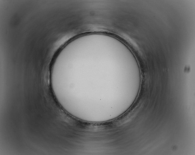 X0000101441269200808041206