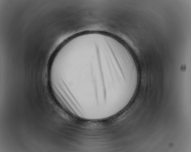 X0000101441270200808041206