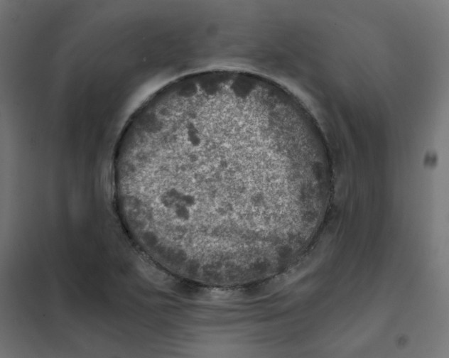 X0000101441271200808041206