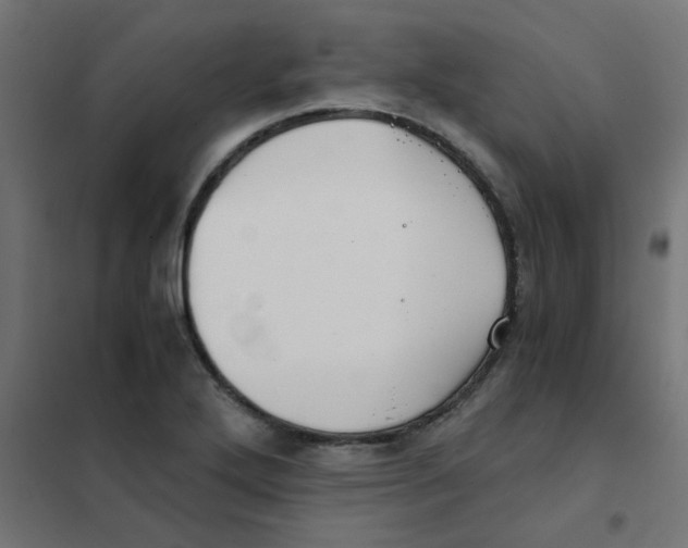 X0000101441272200808041206