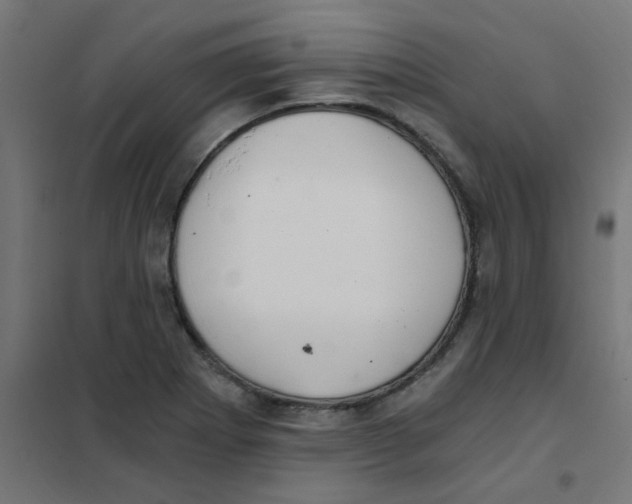 X0000101441273200808041206