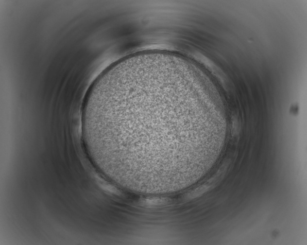 X0000101441274200808041206