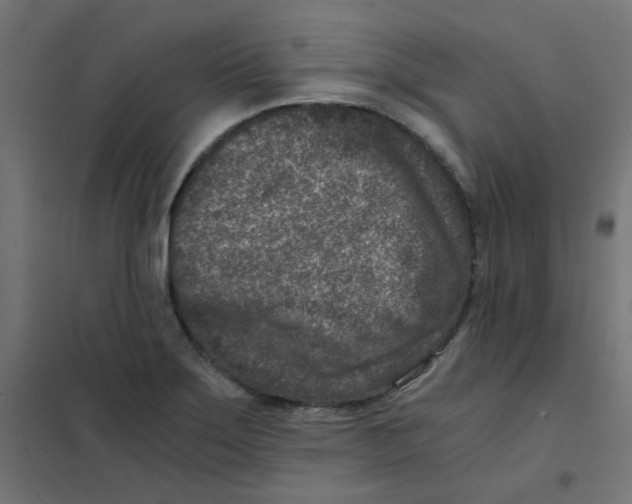 X0000101441275200808041206