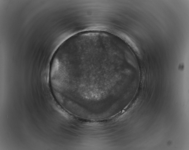 X0000101441276200808041206