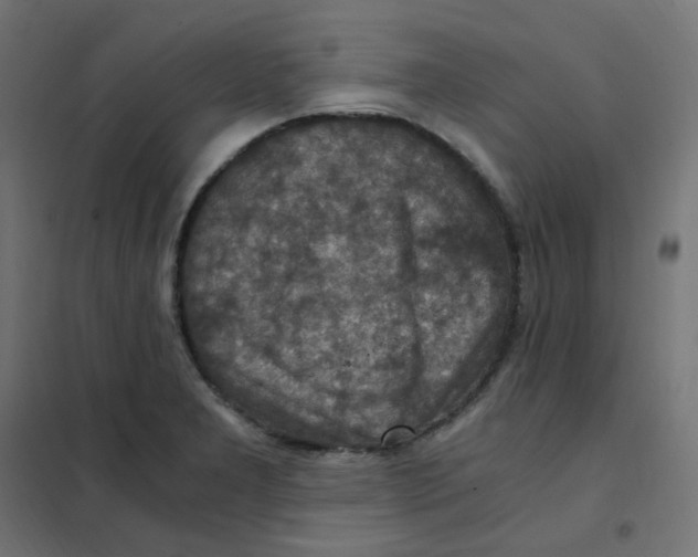 X0000101441277200808041206