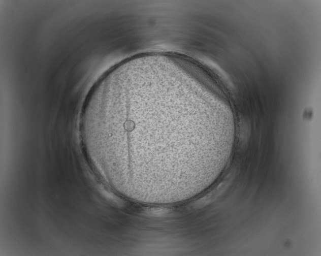 X0000101441278200808041206