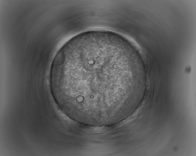 X0000101441279200808041206
