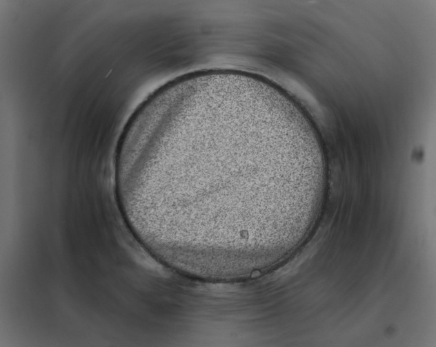 X0000101441280200808041206