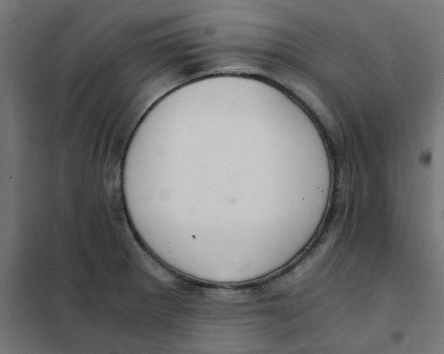 X0000101441281200808041206